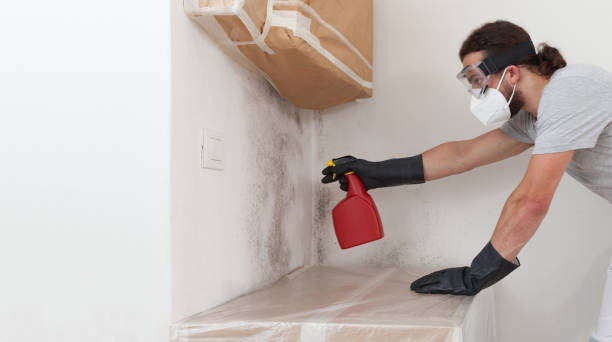 Professional Mold Testing technician working in Massapequa Park, NY